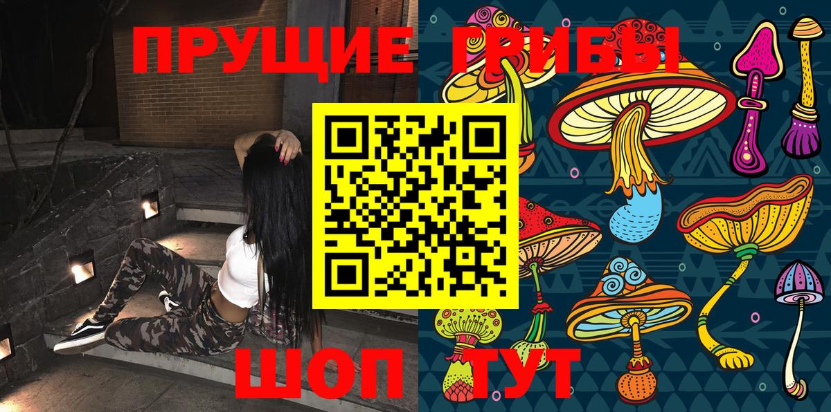Корсаков  купить закладку  Вход с VPN  Галлюциногенные грибы мухоморы 