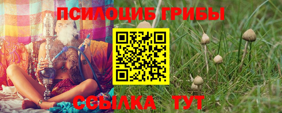 Псилоцибиновые грибы ЛСД  купить наркотик  Корсаков 