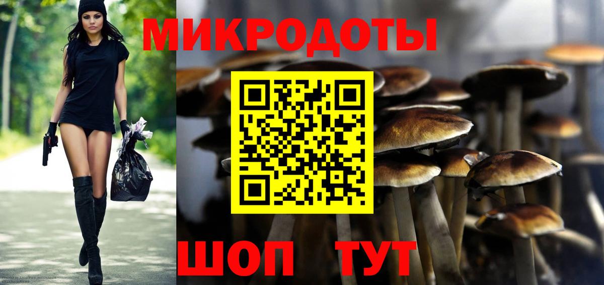 Галлюциногенные грибы прущие грибы Корсаков