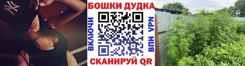 Шишки марихуана MAZAR  Корсаков 